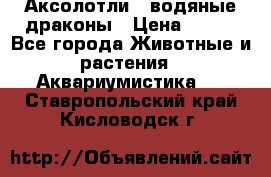 Аксолотли / водяные драконы › Цена ­ 500 - Все города Животные и растения » Аквариумистика   . Ставропольский край,Кисловодск г.